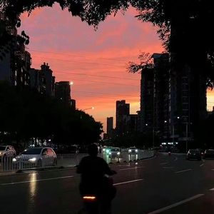 欧美女性交裸阴
