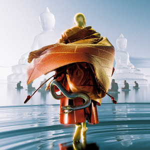 欧美女性交裸阴
